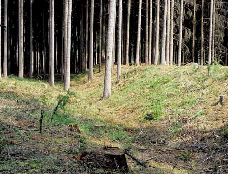 07 viereckschanze_sallach